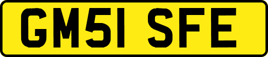 GM51SFE