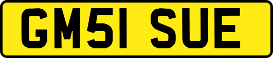 GM51SUE