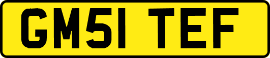 GM51TEF