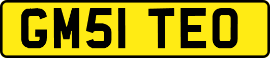 GM51TEO
