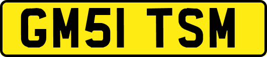 GM51TSM
