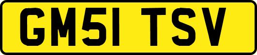 GM51TSV