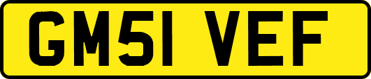 GM51VEF