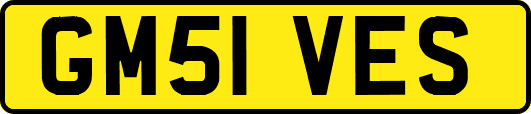 GM51VES