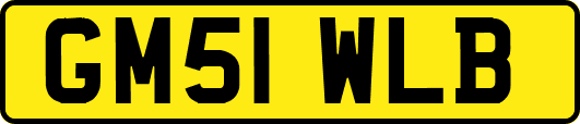 GM51WLB