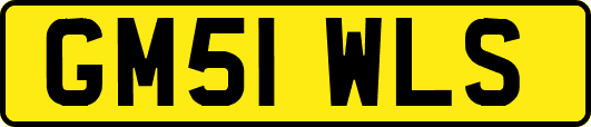 GM51WLS