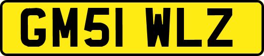 GM51WLZ