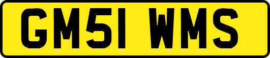 GM51WMS