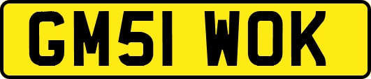 GM51WOK