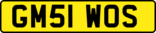 GM51WOS