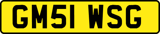 GM51WSG