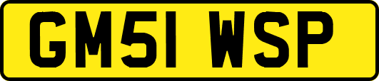 GM51WSP