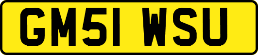 GM51WSU