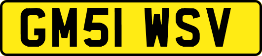 GM51WSV