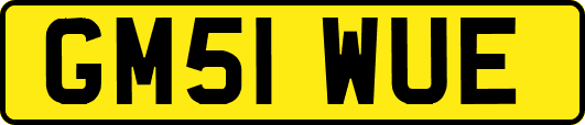 GM51WUE