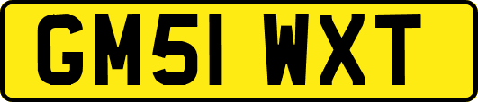 GM51WXT
