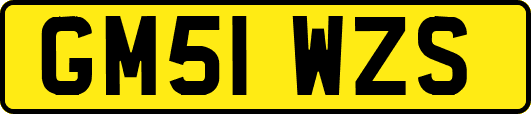 GM51WZS