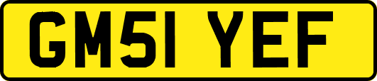 GM51YEF