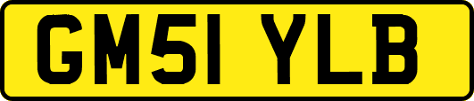 GM51YLB