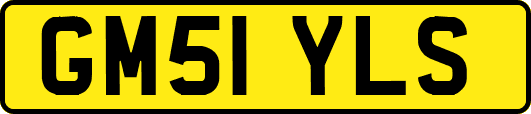 GM51YLS