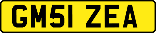 GM51ZEA