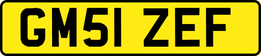 GM51ZEF