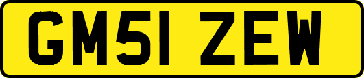 GM51ZEW
