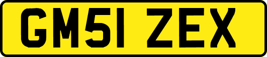 GM51ZEX