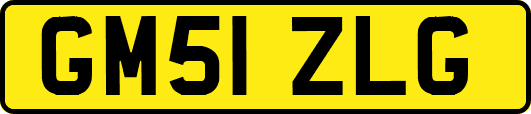 GM51ZLG