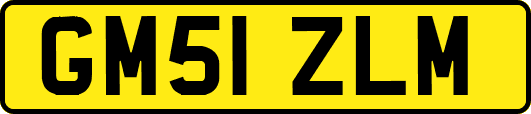 GM51ZLM