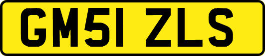 GM51ZLS