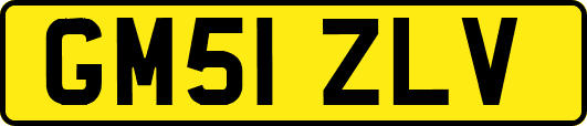 GM51ZLV