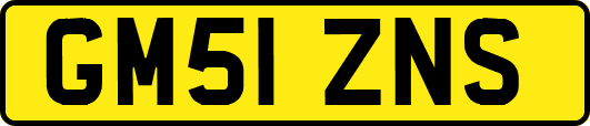 GM51ZNS
