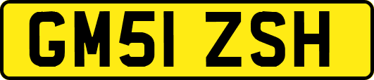 GM51ZSH