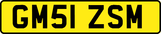 GM51ZSM