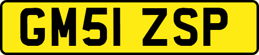 GM51ZSP