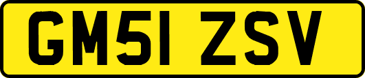 GM51ZSV