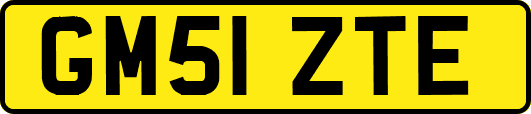 GM51ZTE
