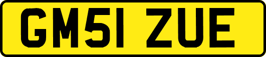 GM51ZUE