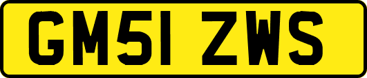 GM51ZWS