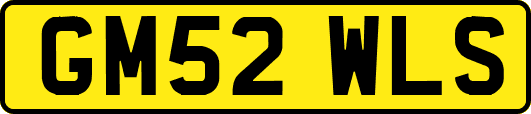 GM52WLS