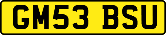 GM53BSU