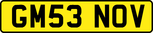 GM53NOV