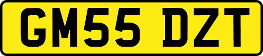GM55DZT