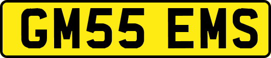 GM55EMS