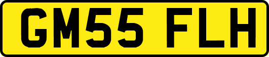 GM55FLH