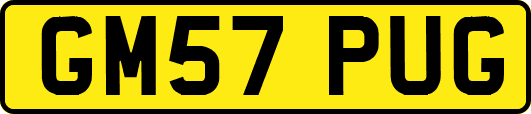 GM57PUG