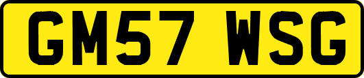 GM57WSG