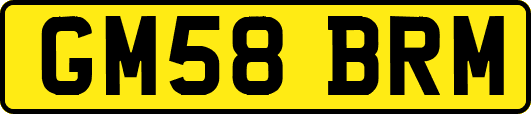 GM58BRM