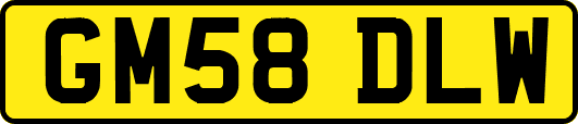 GM58DLW
